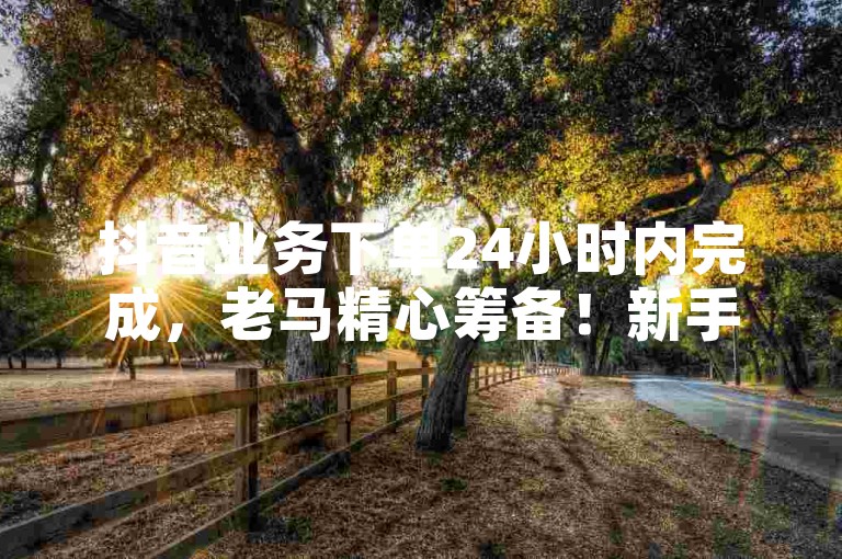 抖音业务下单24小时内完成，老马精心筹备！新手必看！
