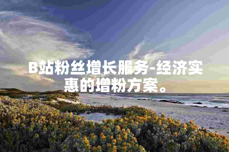 B站粉丝增长服务-经济实惠的增粉方案。