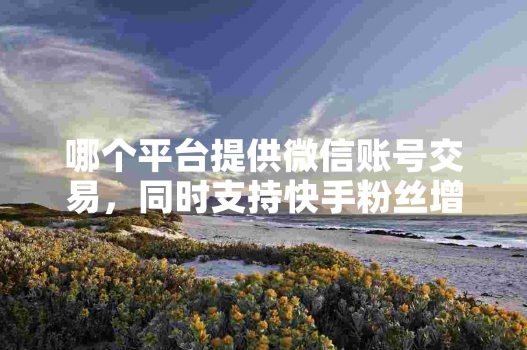 哪个平台提供微信账号交易，同时支持快手粉丝增长服务？