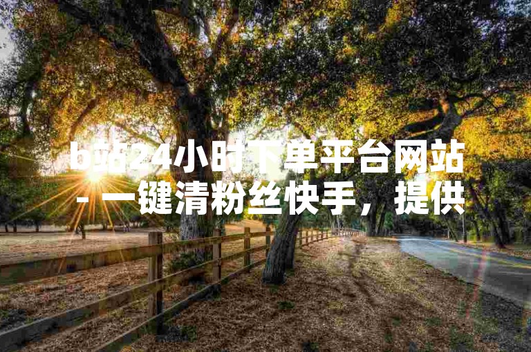 b站24小时下单平台网站 - 一键清粉丝快手，提供快速、便捷的服务。