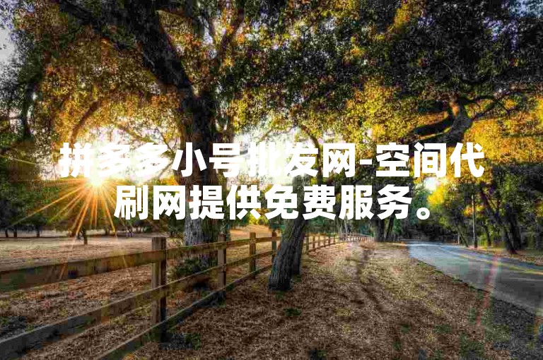 拼多多小号批发网-空间代刷网提供免费服务。