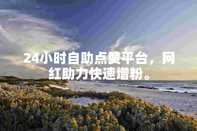 24小时自助点赞平台，网红助力快速增粉。